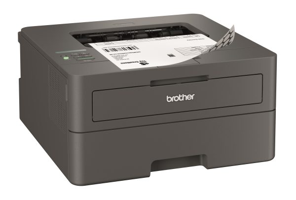 Brother HLL2442DW mono lézer egyfunkciós nyomtató – nyomtató termékfotó